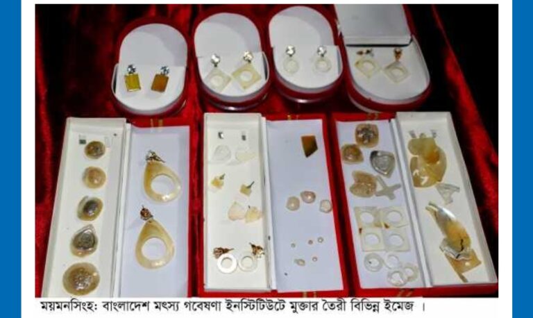 বাংলাদেশ মৎস্য গবেষণা ইনস্টিটিউটে উদ্ভাবিত মুক্তা চাষ ও মুক্তার ইমেজ ব্যবসায়িক সফলতার দিকে যাচ্ছে