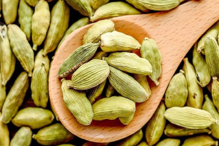কিডনি সমস্যা দূর করে এলাচ