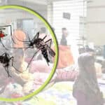dengue
