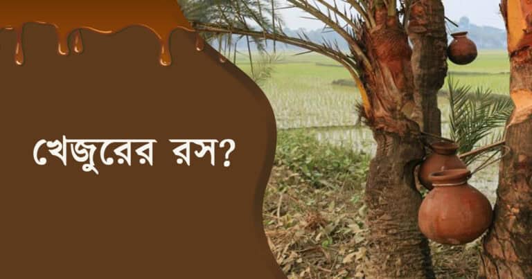 খেজুরের কাঁচা রস পান না করার পরামর্শ