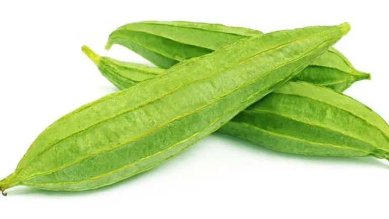 লিভার ও কোষ্ঠকাঠিন্যের মহৌষধ ঝিঙে
