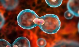 যেসব লক্ষণ ক্যানসারের ইঙ্গিত দেয়