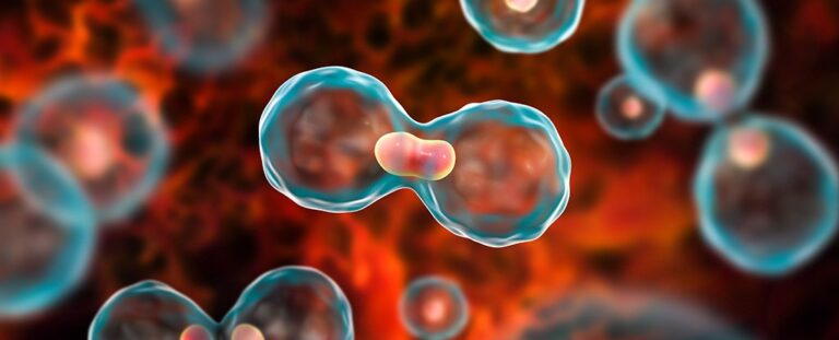 Read more about the article যেসব লক্ষণ ক্যানসারের ইঙ্গিত দেয়