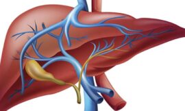 লিভারের জন্য সবচেয়ে ক্ষতিকর এক খাবার, কী সেটি?
