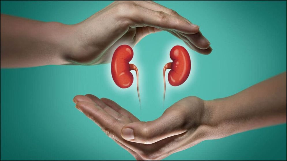 ডায়ালাইসিস ছাড়াই সুস্থ হবেন কিডনি রোগীরা